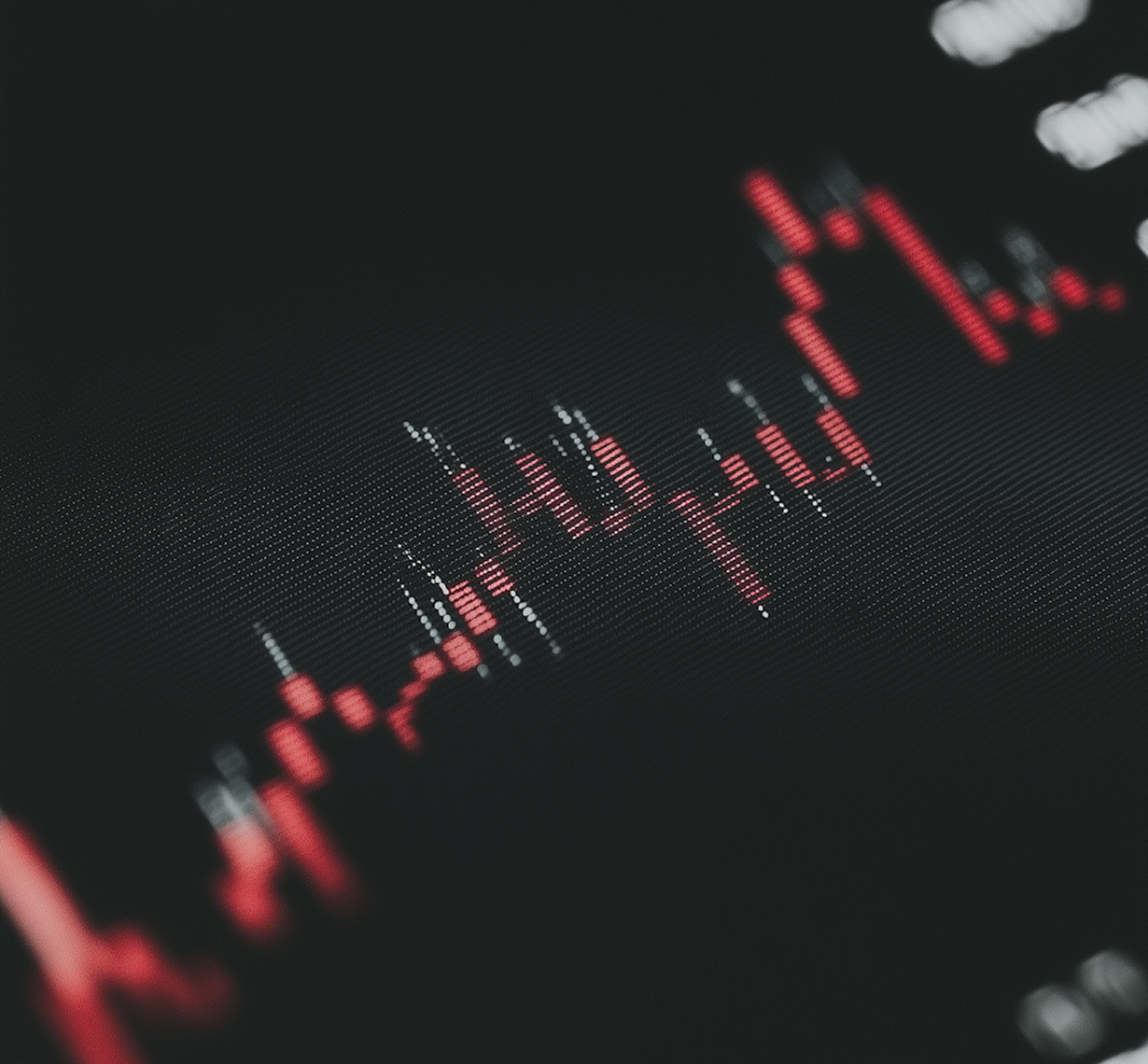 Investment focus areas